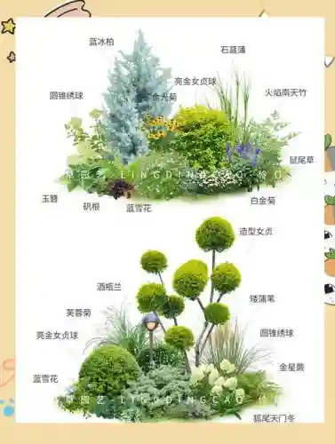 植物阵容搭配图表插图
