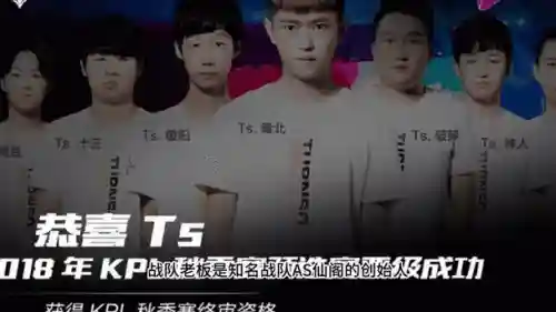 ts同阵容