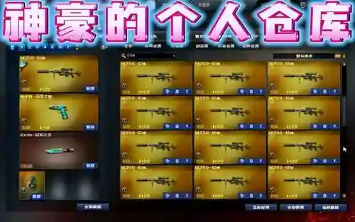 cf装备仓库图片大全