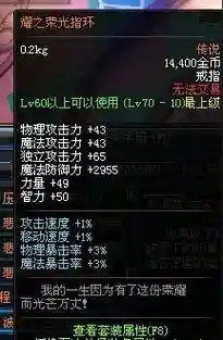 dnf耀之荣光辅助装备