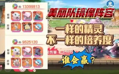 美丽型阵容