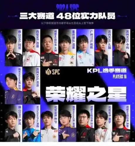 kpl队员阵容