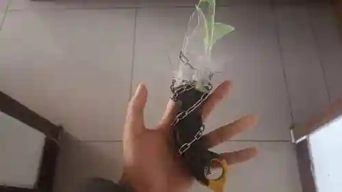 自制武器没残影插图1