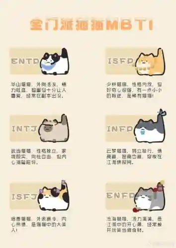 sp猫阵容