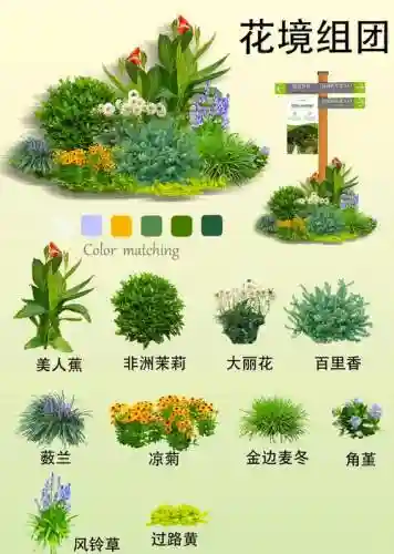 植物阵容搭配图表插图1