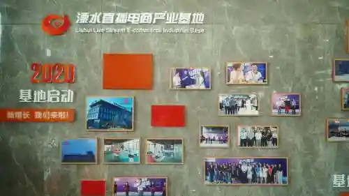直播基地阵容插图1