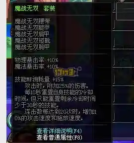 加暴走的ss装备_1插图