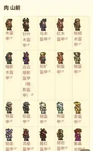 泰拉瑞亚肉山后前武器插图1