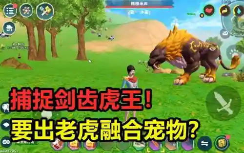 创造与魔法剑齿虎技能_1插图1