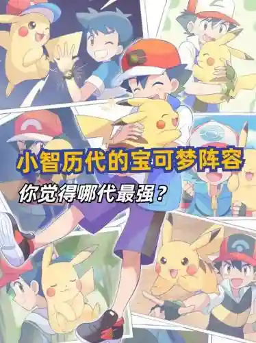 智趣阵容