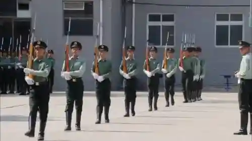 标兵阵容插图
