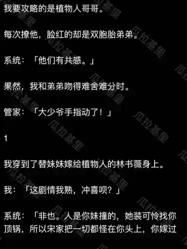 攻略双胞胎兄弟插图