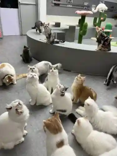 猫乐园阵容插图1