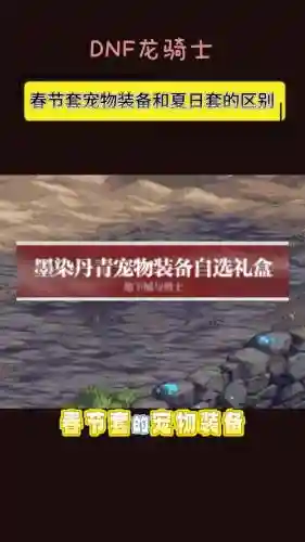 春节宠物装备插图1