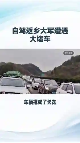 堵路阵容插图1