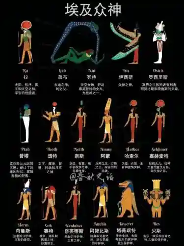 埃及阵容实力插图