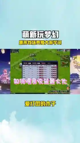 梦幻西游怎么强行离婚