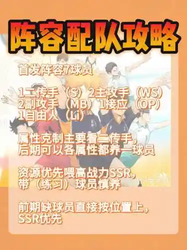 大地阵容视频