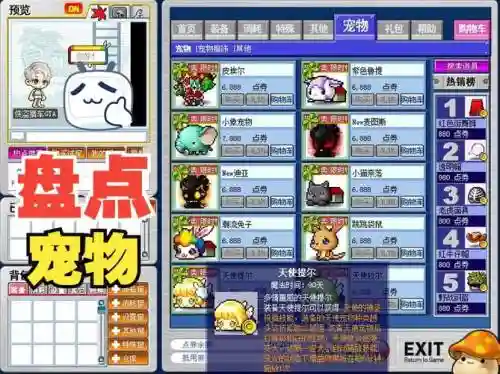 冒险之地最佳宠物阵容搭配插图1