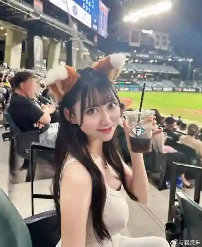 小泽最新阵容