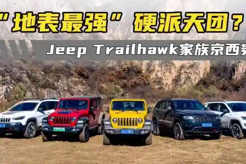 jeep最强阵容插图