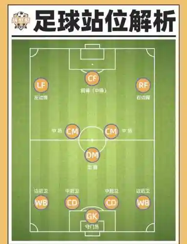 踢球阵容安排_1插图