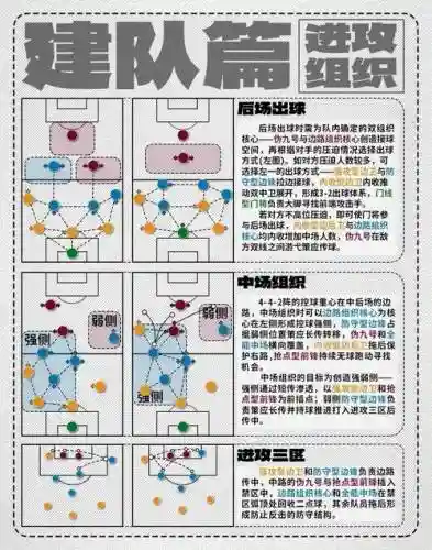 阵容搭建教程