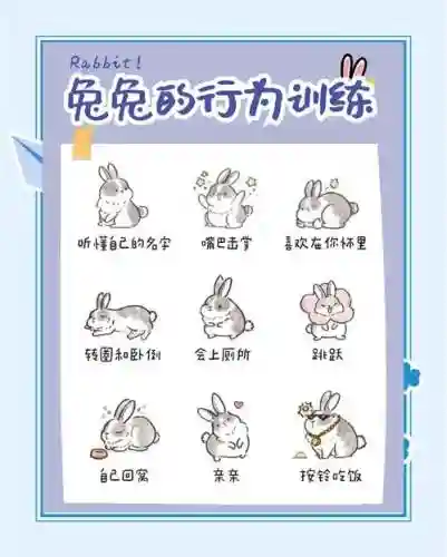 拯救兔子营救55关攻略插图
