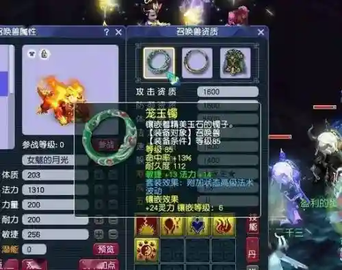 梦幻西游法宠灵力900插图1