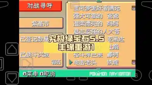 究极绿宝石五通关阵容搭配插图