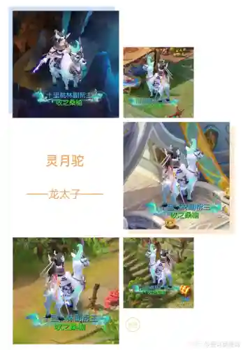 梦幻西游手游沙漠君染色插图1