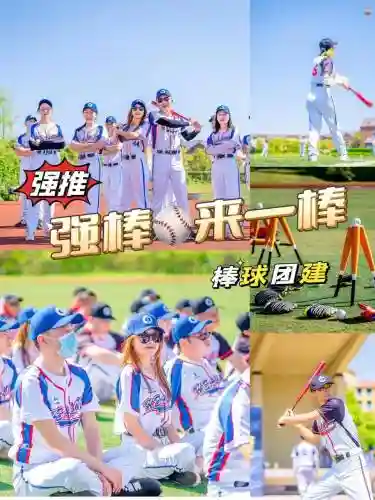 棒子搭配什么阵容_1插图