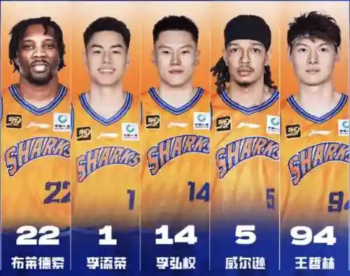 鲨鱼的阵容插图