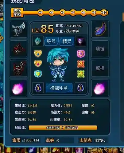 勇士的信仰武器幻化券6