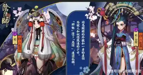 鸠怎么搭配阵容插图