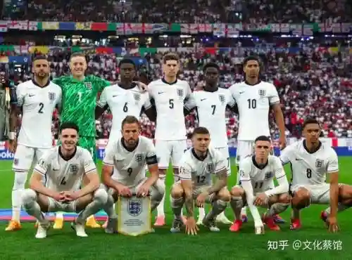8亿阵容插图