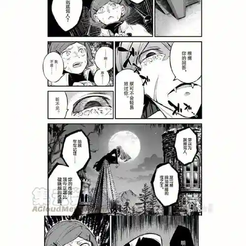 布拉拉阵容插图