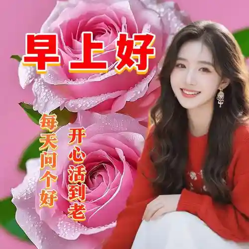 好心情阵容插图