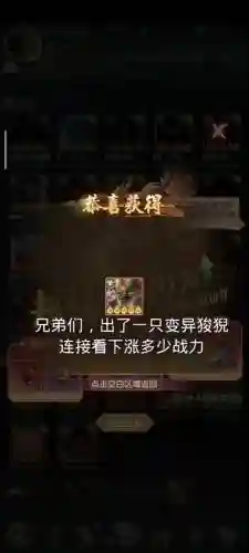 狻猊配套阵容插图