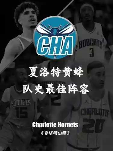 2018黄蜂阵容