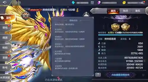 奇迹觉醒的武器进阶的辅助是什么意思插图