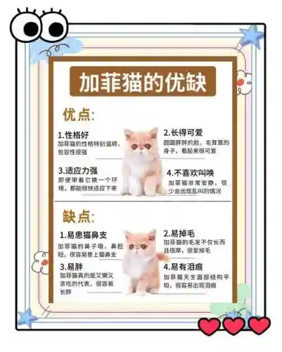 加菲猫攻略50关怎么过