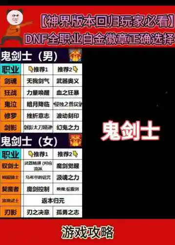 dnf狂战白金徽章选什么技能