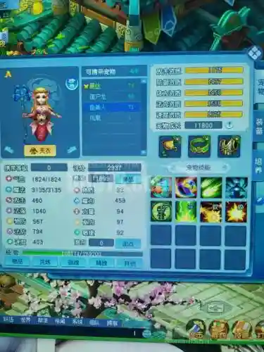 逍遥情缘小熊猫打什么技能插图