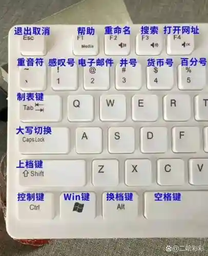 键盘不松手不放技能怎么解_1插图