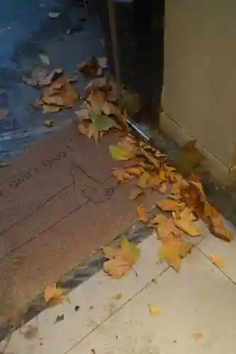 落雨落叶第十五关攻略_1