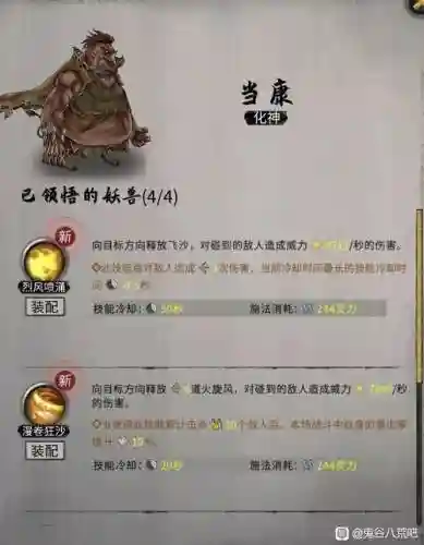 当康一般练什么技能插图