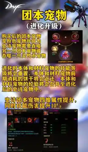 dnf怎么宠物装备强化
