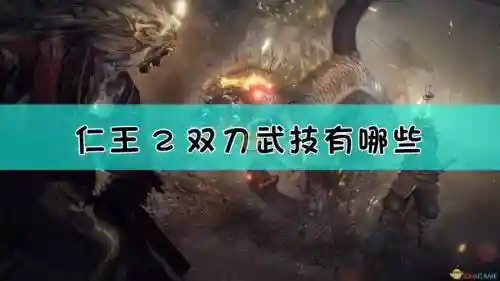 仁王双刀升什么技能插图