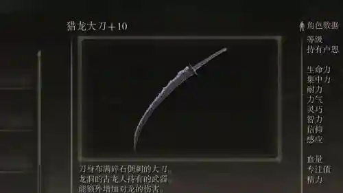 猎龙者什么武器插图